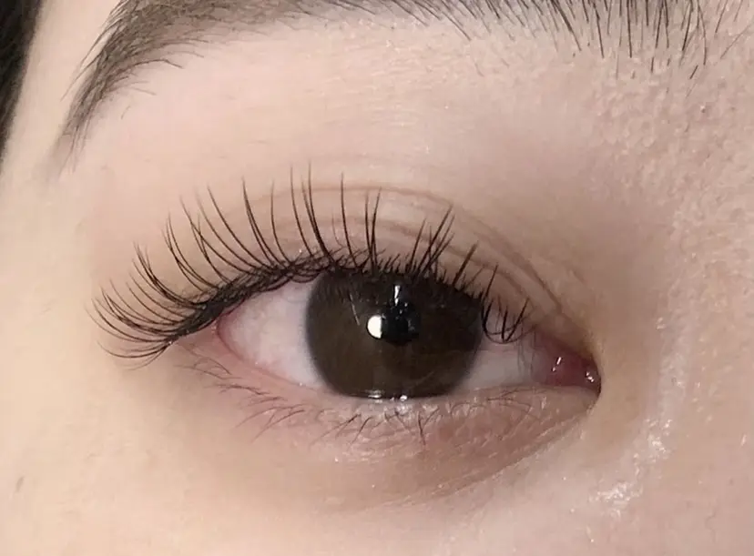 eight eyelashの掲載