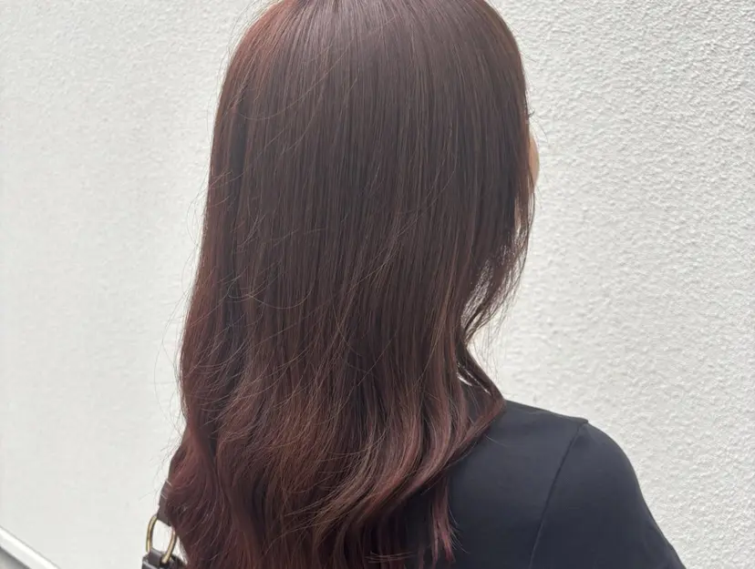 村松 音歩の掲載