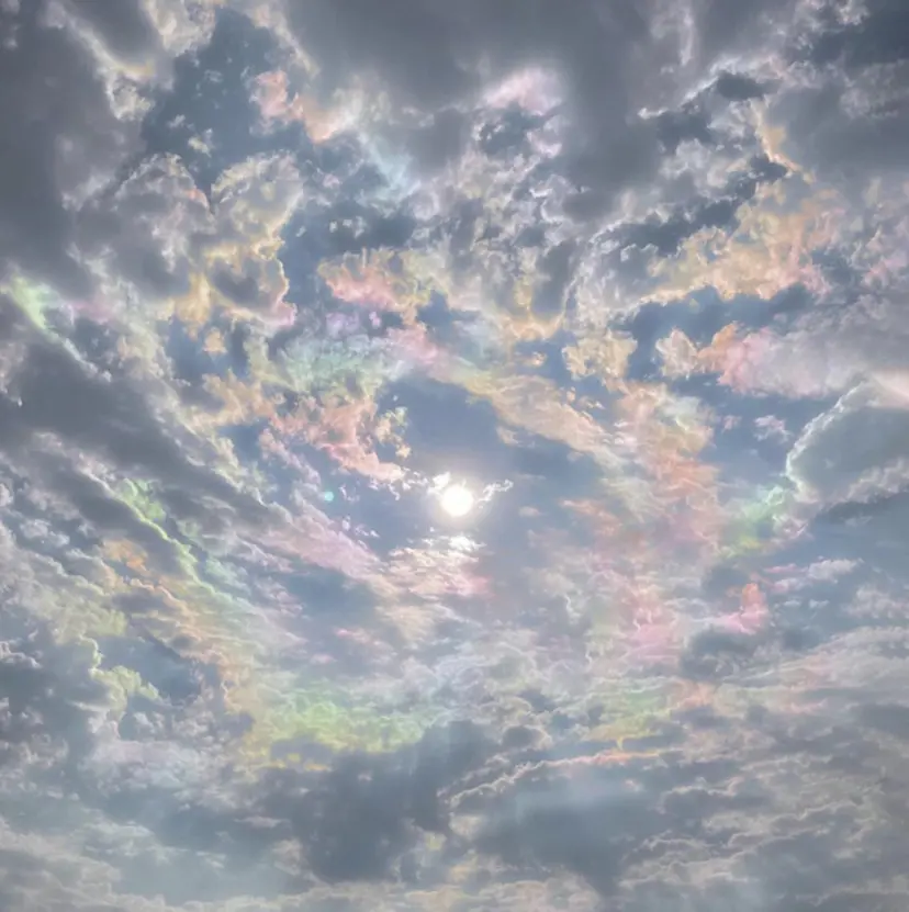 ナルカワ アユミの掲載