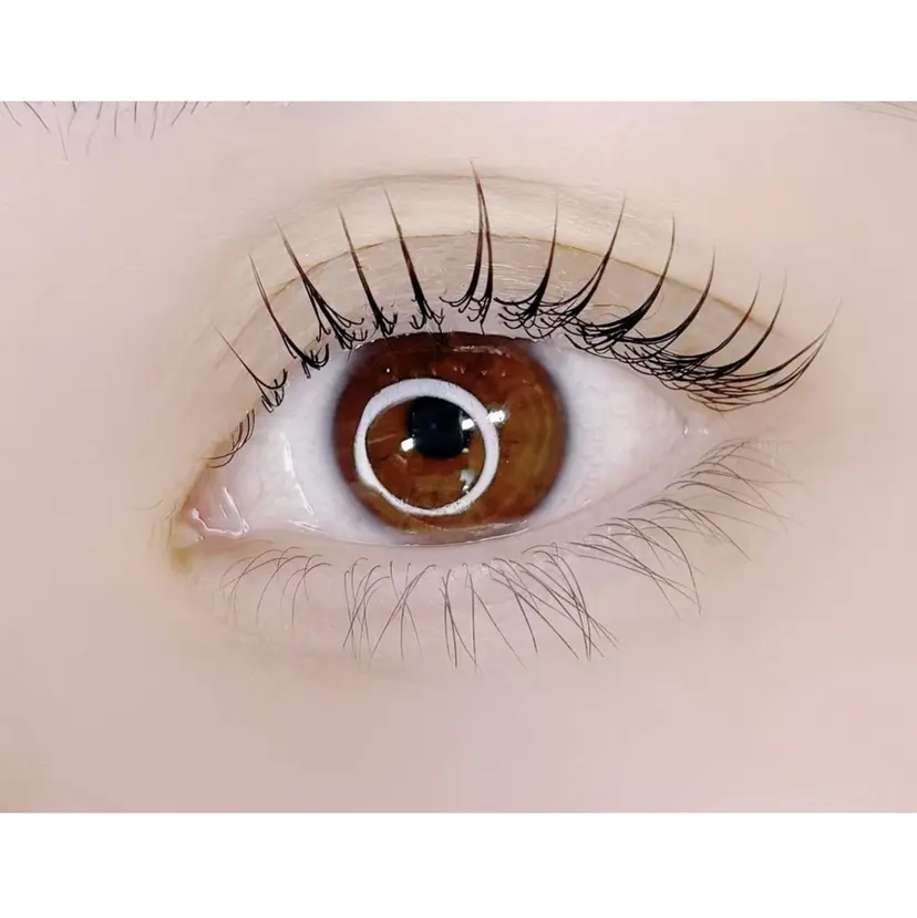 taninishi yuの掲載