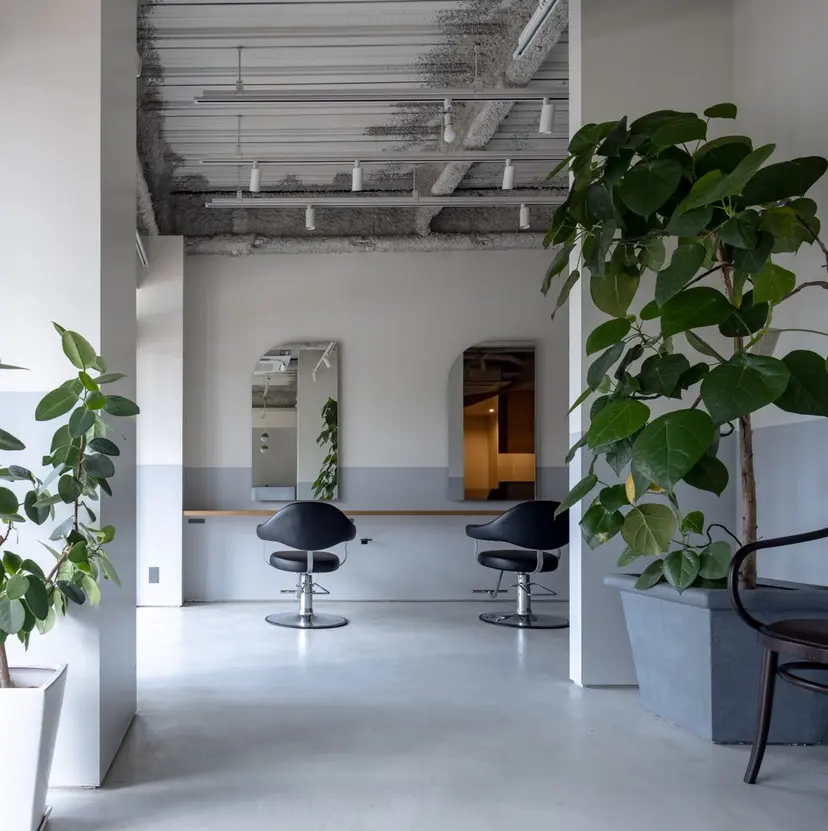 伊藤 紗優の掲載