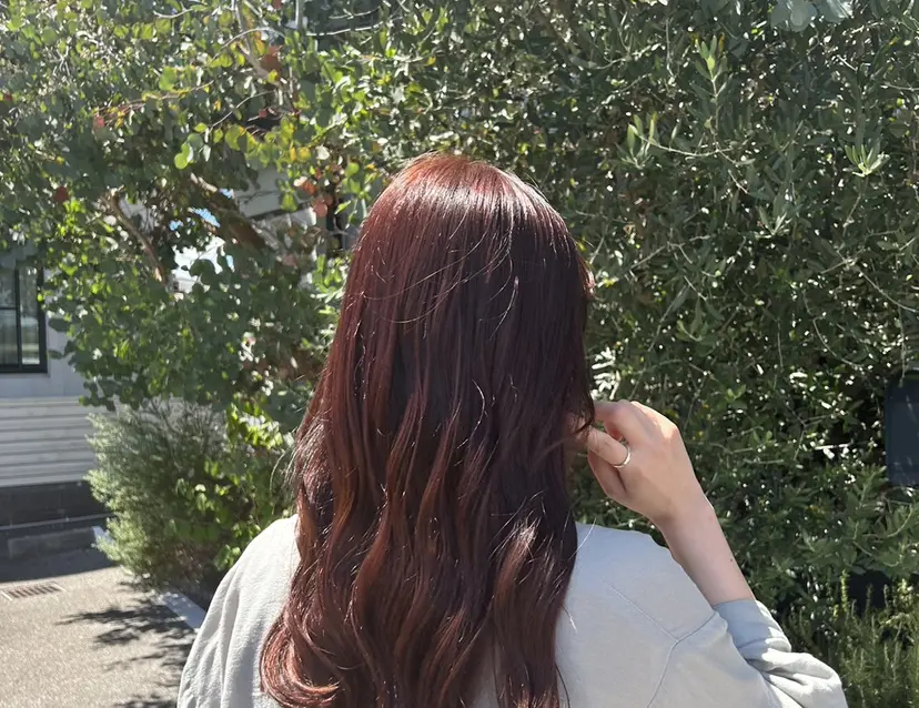 ハヤシ ユウカの掲載