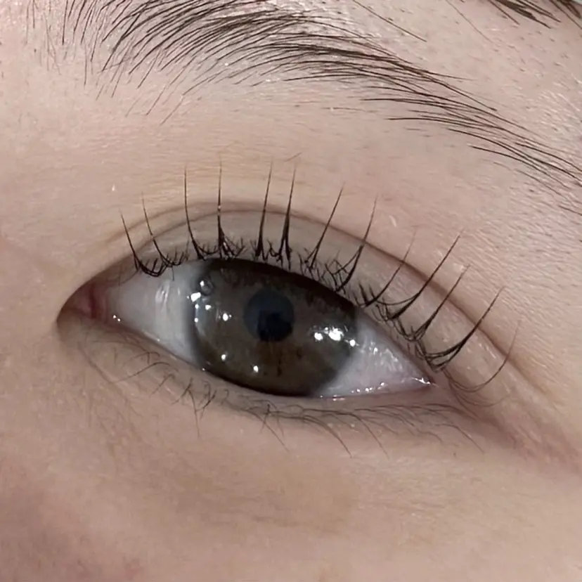 Shino 🐈‍⬛🌙の掲載