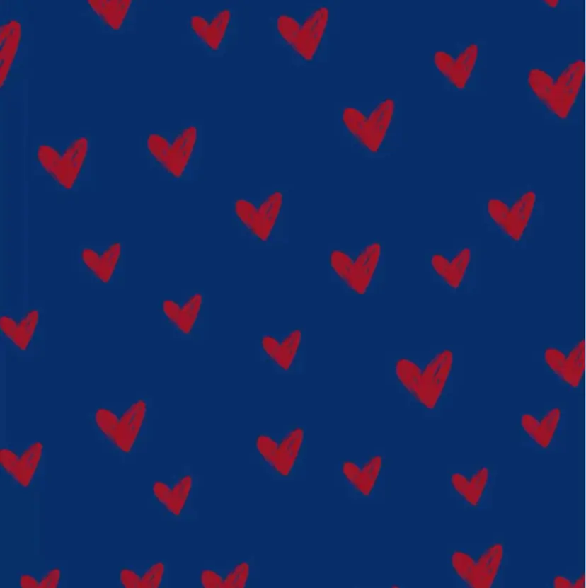 杉原 ひよりの掲載