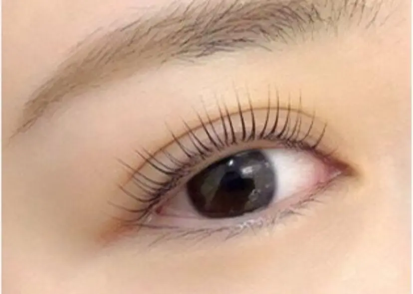 マリーテレジア博多 増田の掲載