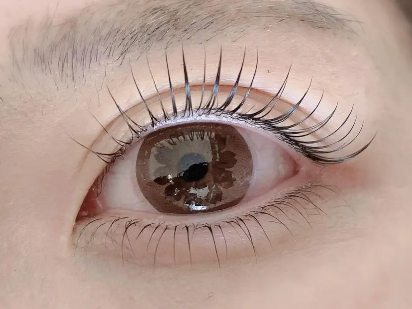 Victoire スタイルの掲載