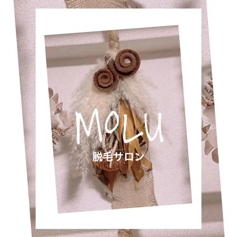 脱毛　マツ毛パーマ Moluの掲載