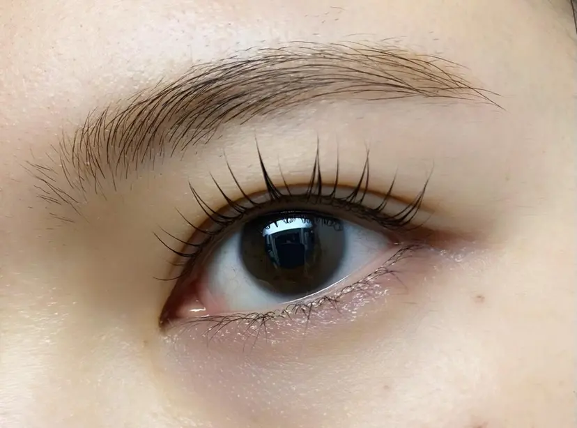 菅原 麻衣の掲載