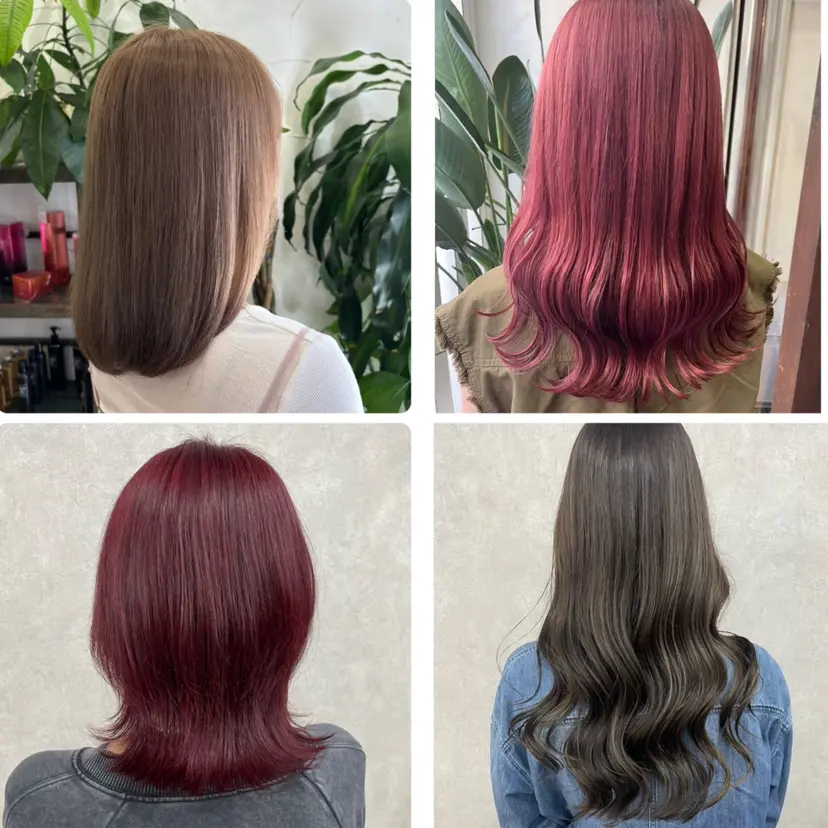 佐藤 琴海の掲載