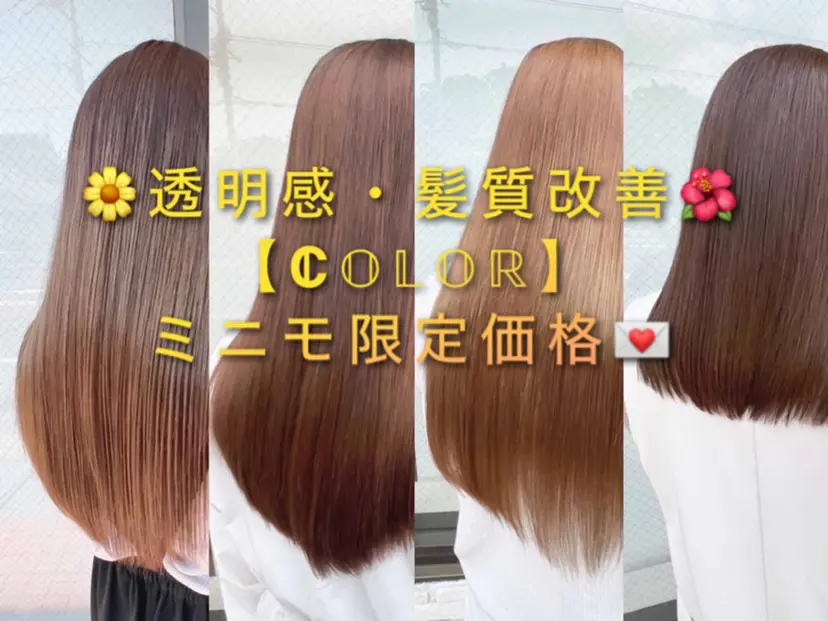 Color募集🈁 / CHIDA🕊️の掲載