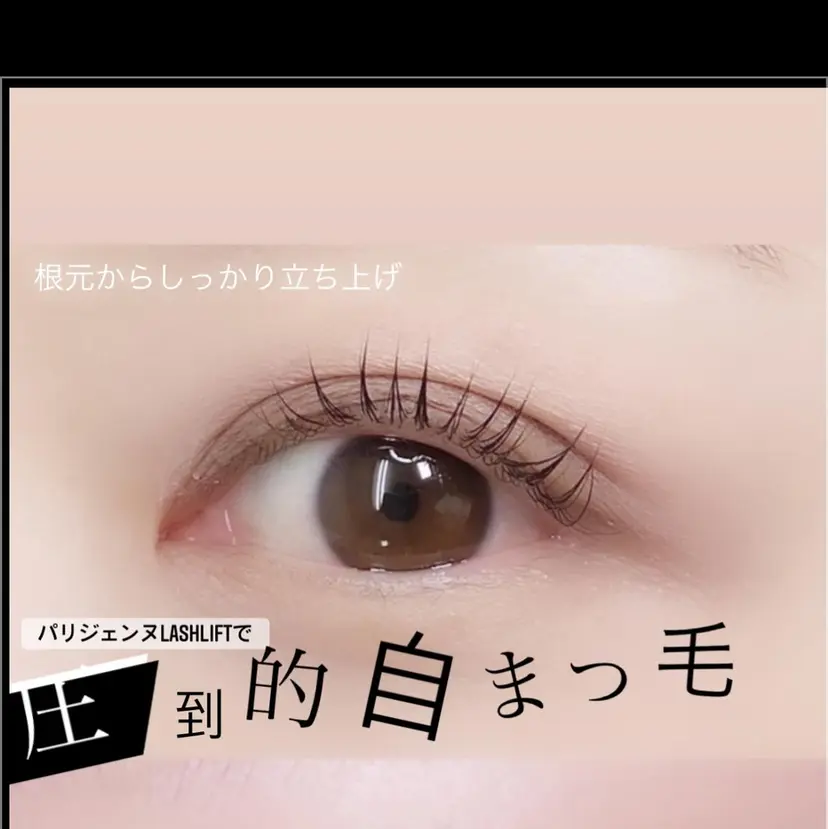 曳地 三千代の掲載