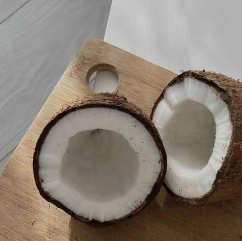 諸橋 優羽の掲載