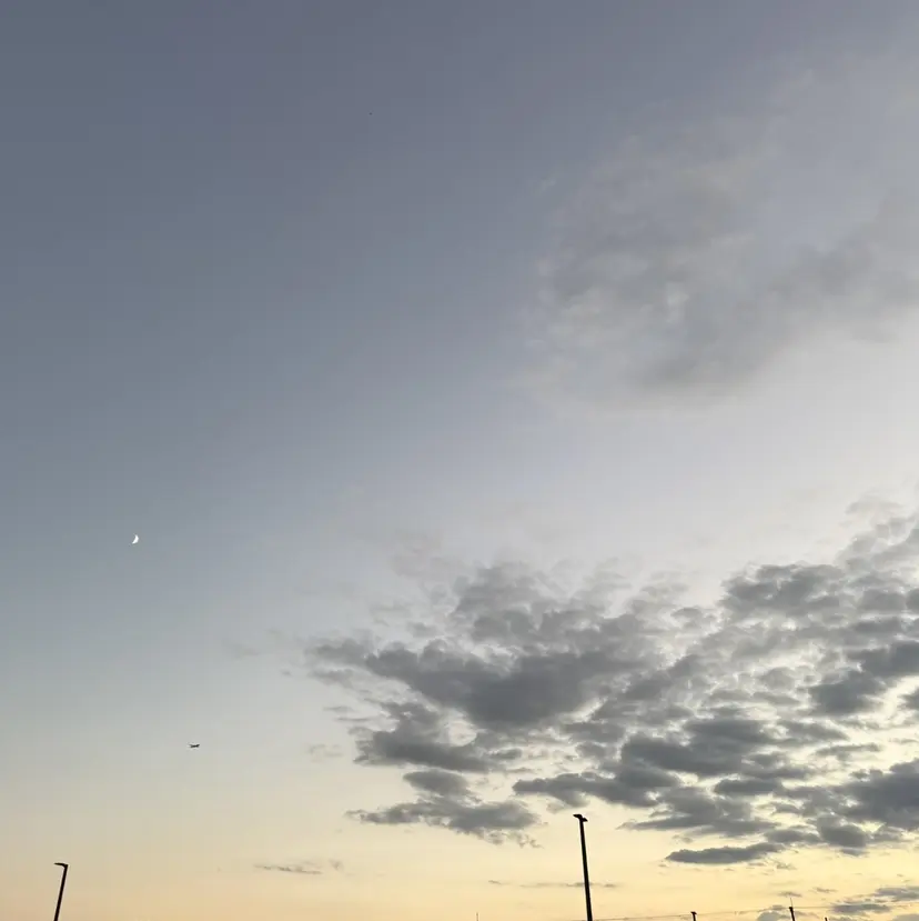 oma🕯️ risaの掲載