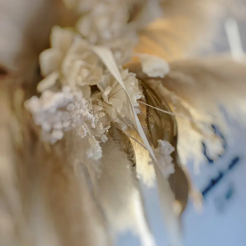 中居 真菜の掲載