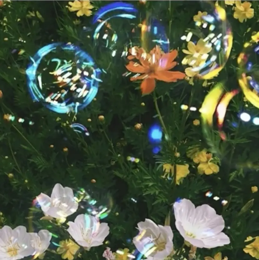 吉野 真歩の掲載