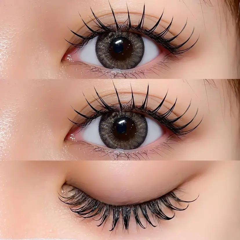 ASUKA :LED専門店の掲載