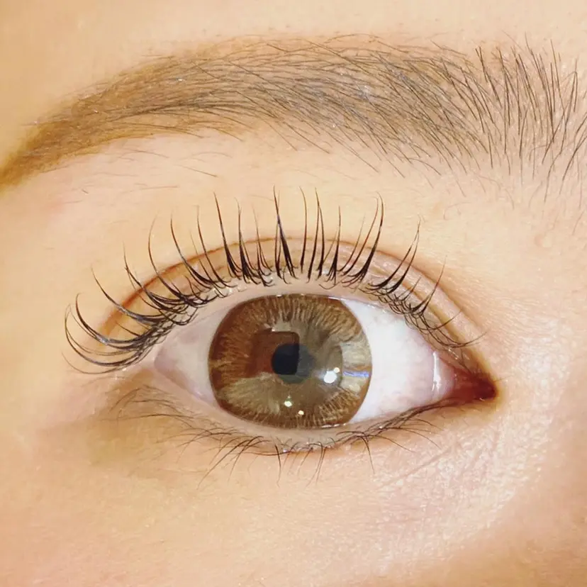 Le ciel eyes 森本の掲載