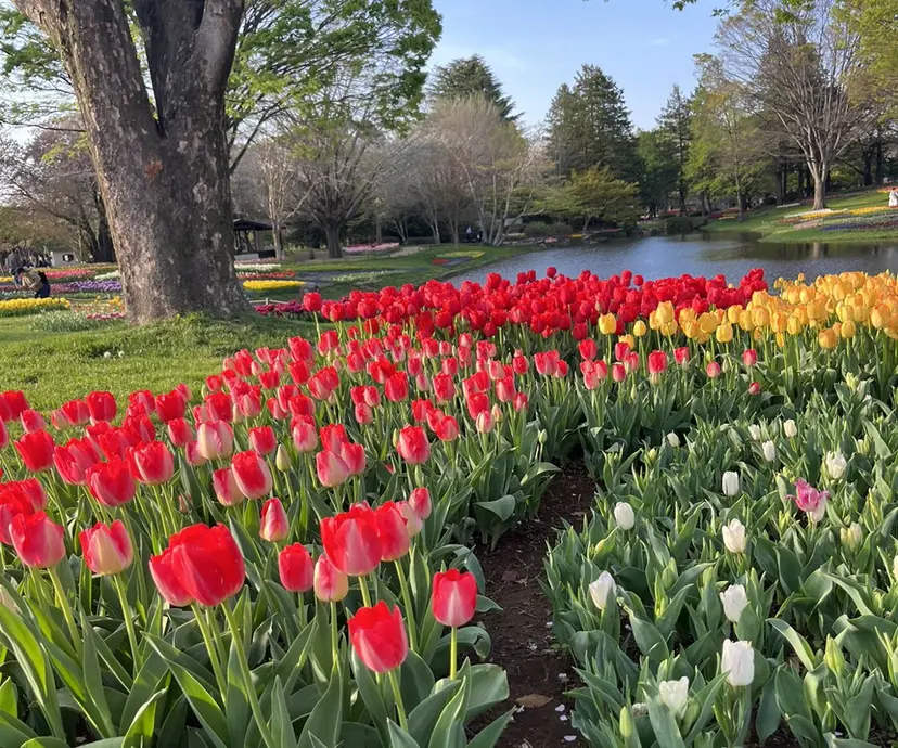 髙木 柚奈の掲載