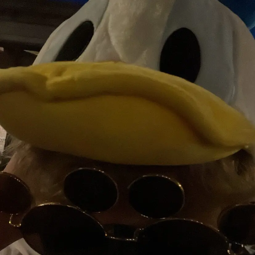 藤野 唯斗の掲載