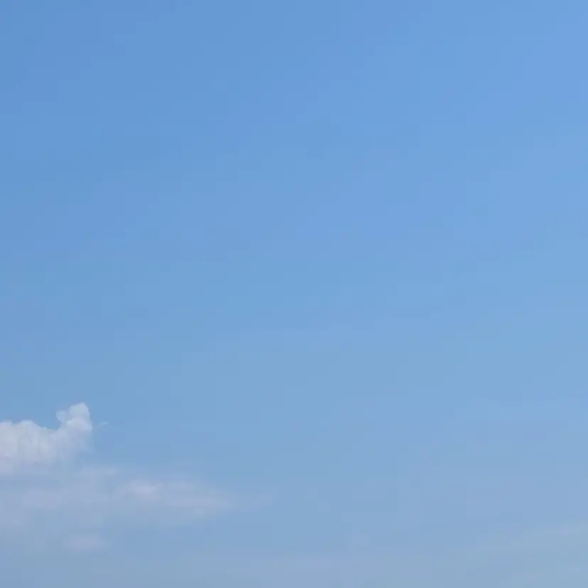 山中 千江美の掲載