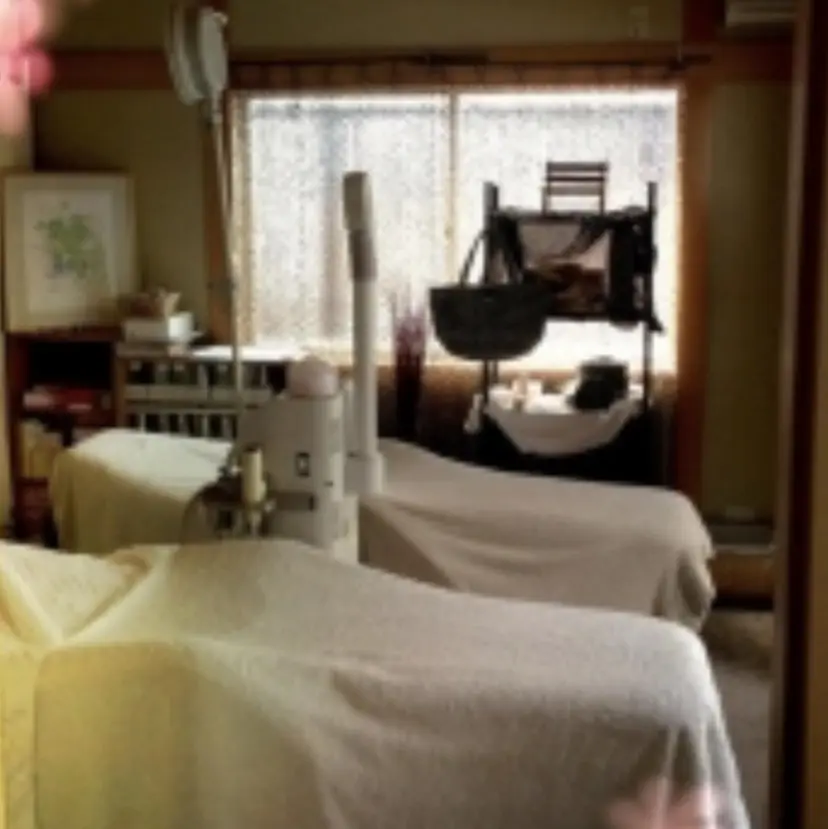 平松 繭美の掲載