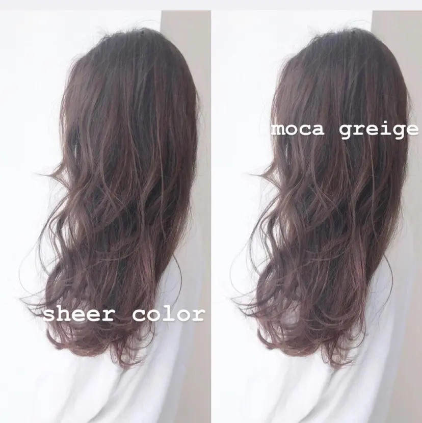 赤阪 優奈の掲載