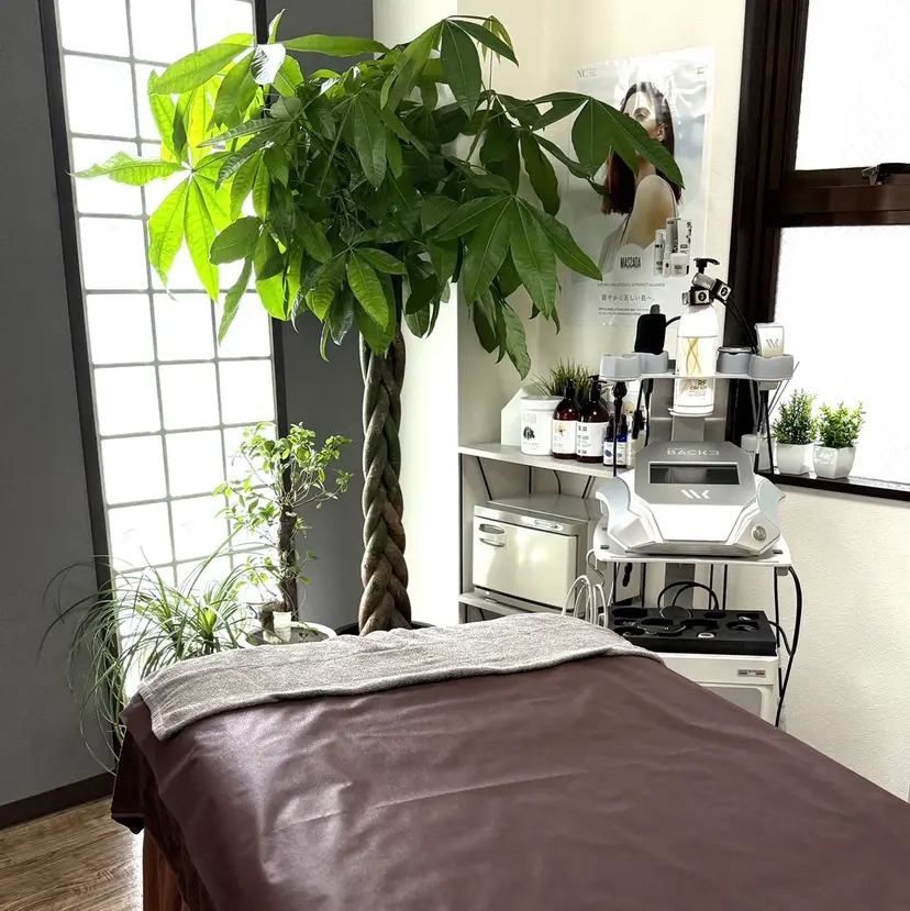 エステティックサロン PLANTSの掲載