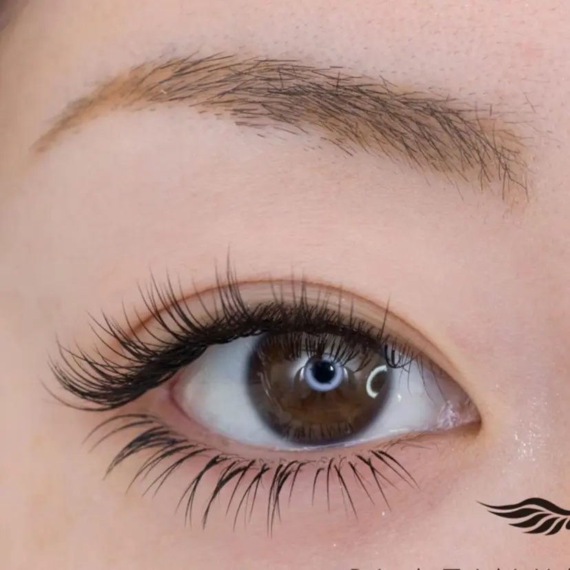 菅尾 汐美の掲載