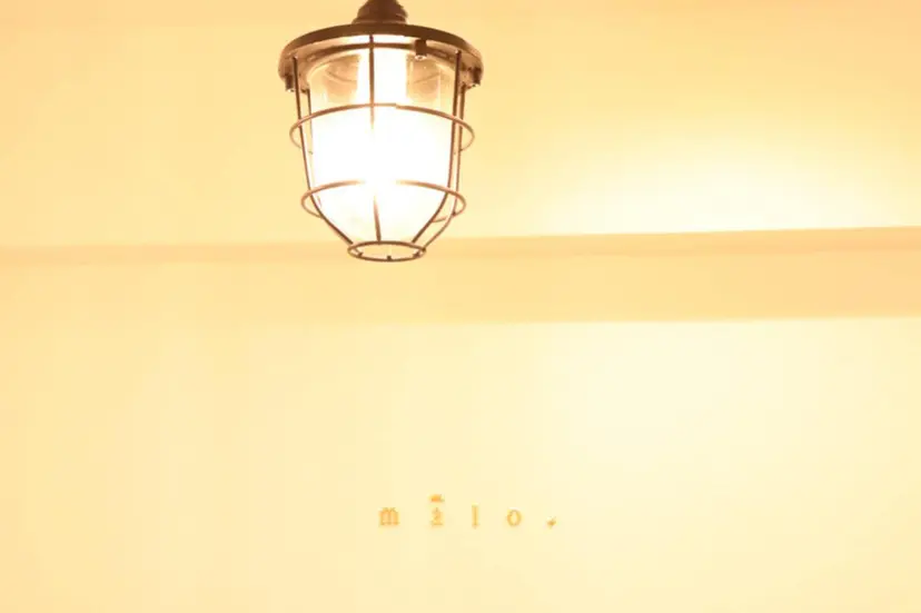 m ā l o. マァロの掲載