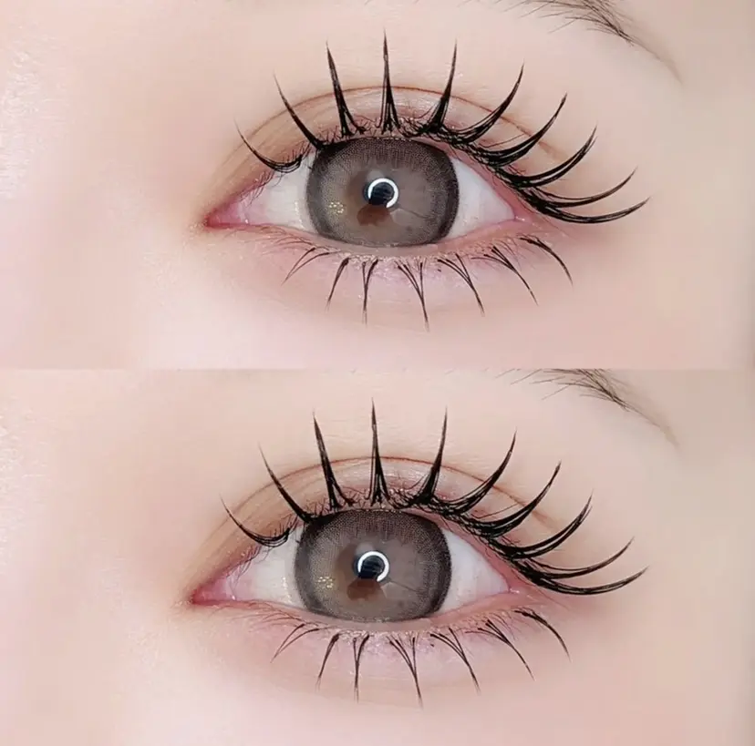 アンジュネス 池袋の掲載