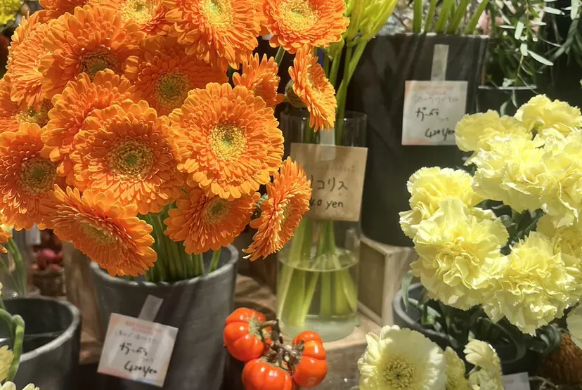 🐰Sara🐰 hair/eye🖤の掲載