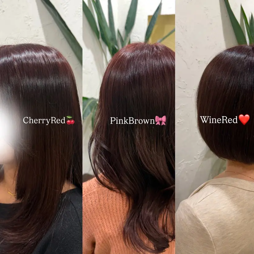 凜 【ツヤ髪 ／ワンカラー】の掲載