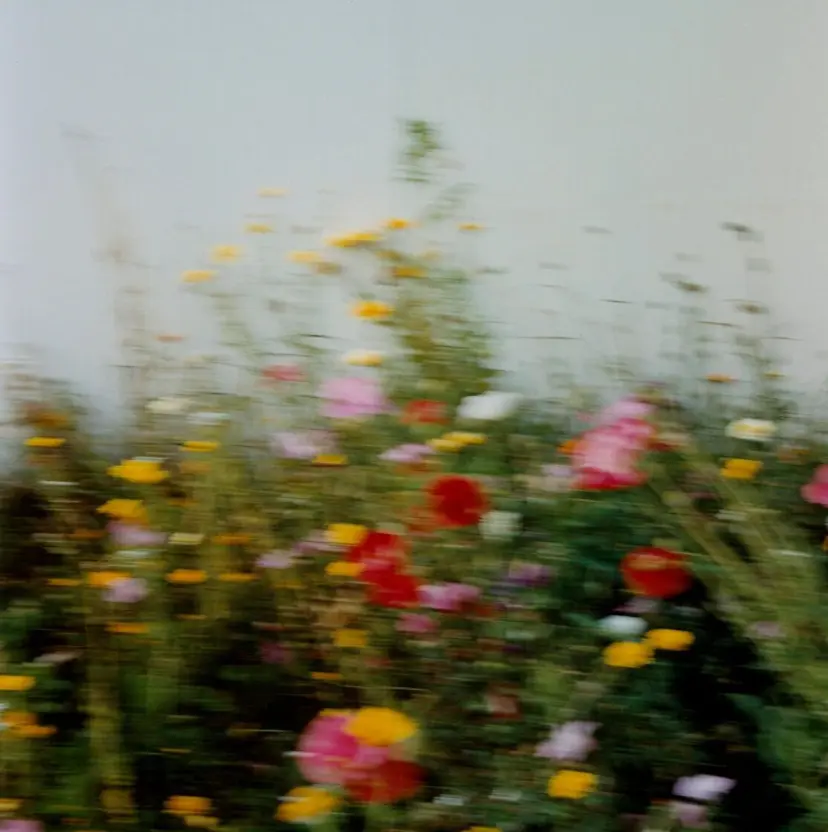 佐藤 なつのの掲載