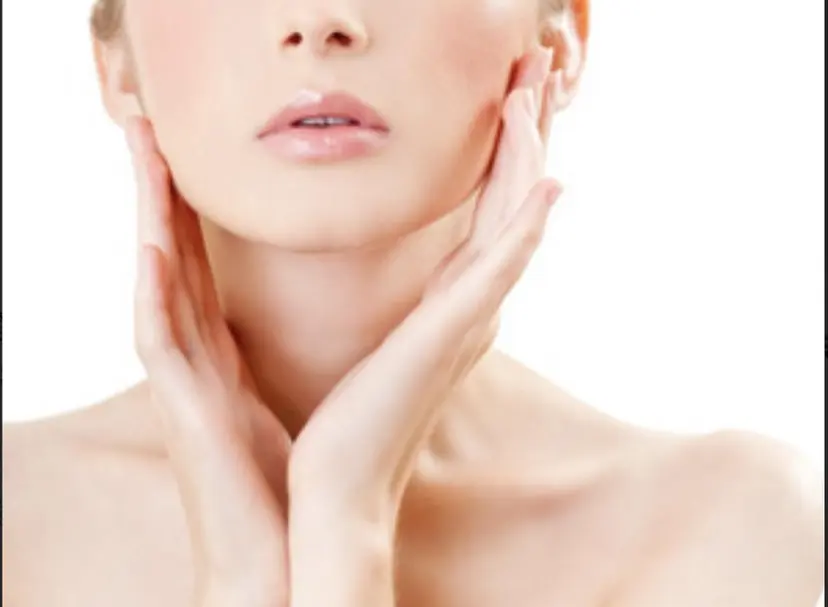 ベルミーランド 岸辺の掲載