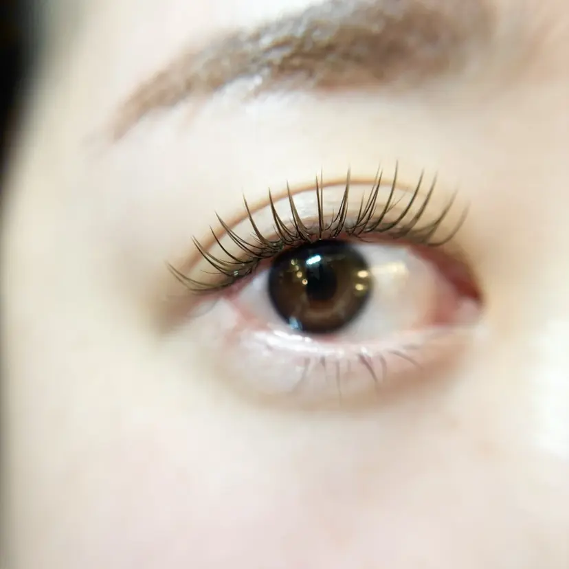 エクステ/LED/ 淀屋橋/北浜の掲載