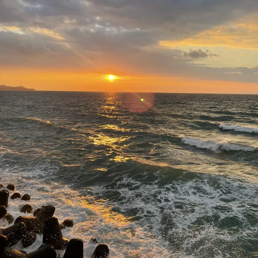 笠原 七海の掲載
