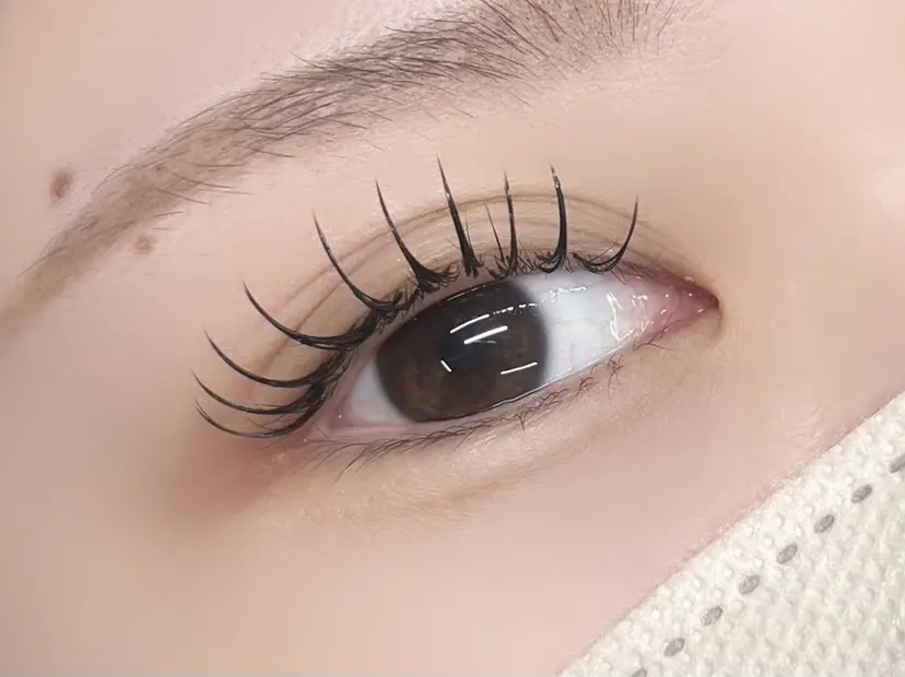 【LILY】伊沢/ バインド/パリ/エクの掲載