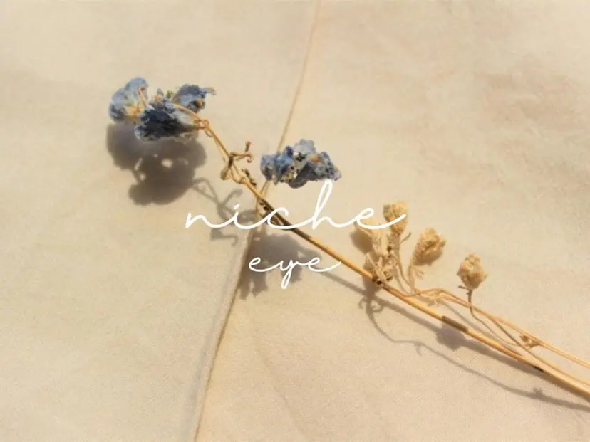 niche eye 宮崎 果歩の掲載