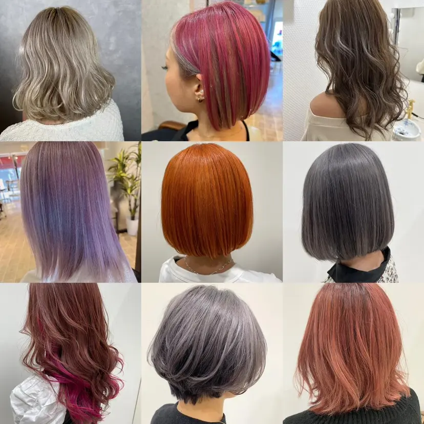 杉原 悠司の掲載