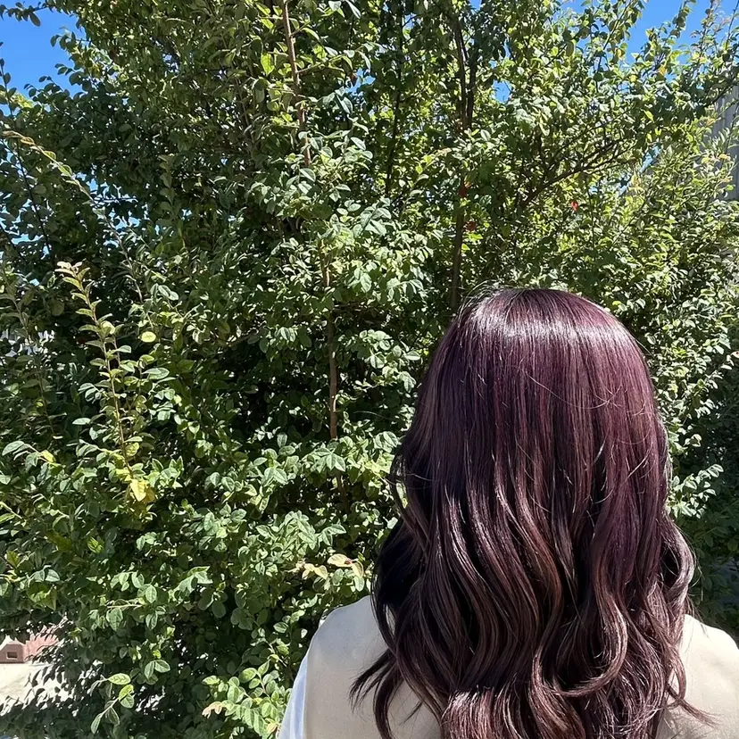 白川 惺佳の掲載