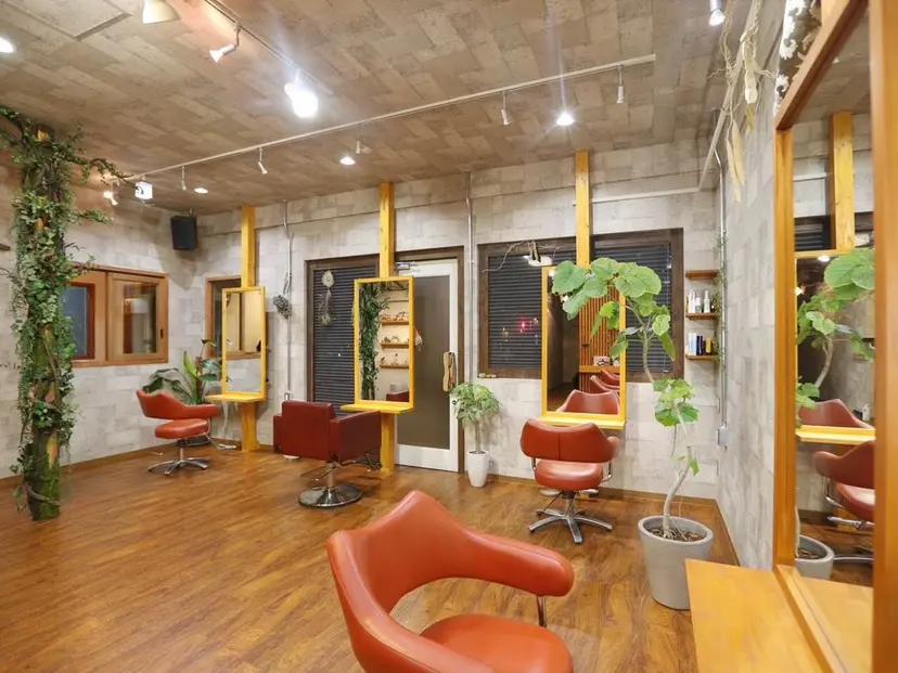 斎藤 夏美の掲載