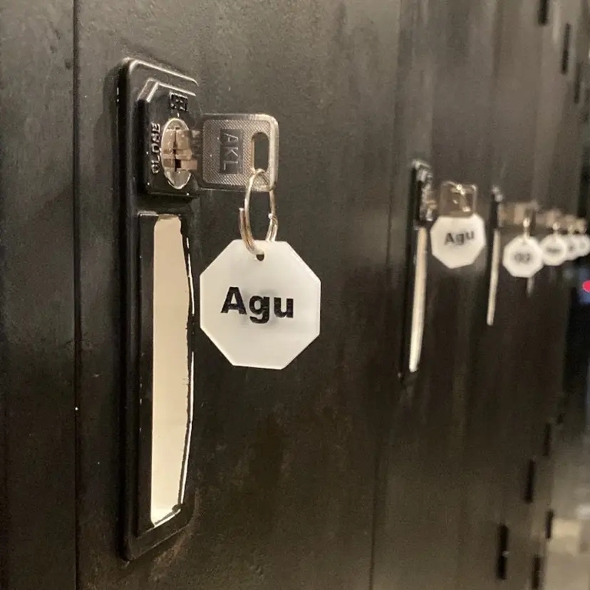 白井 音羽の掲載