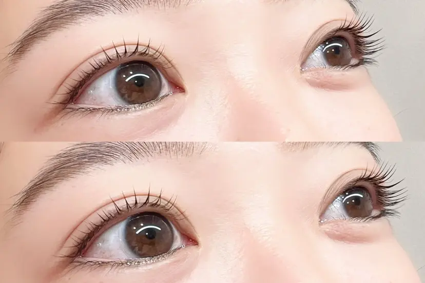 Lucht （Lino）の掲載