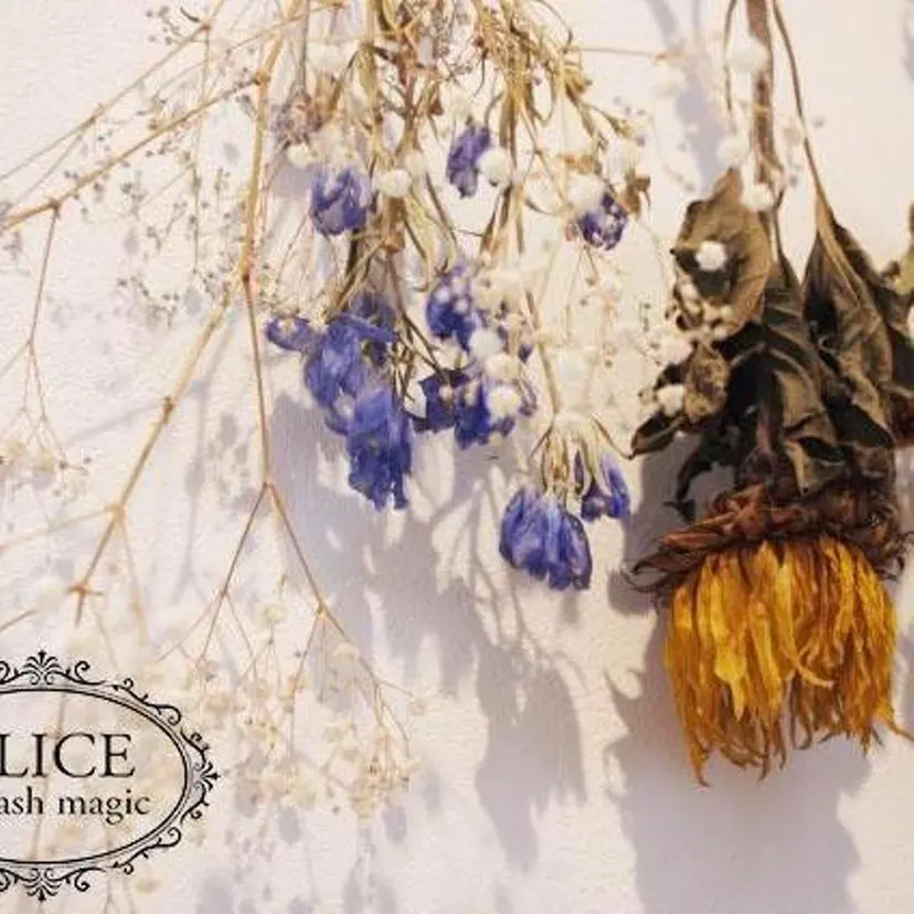 midori🫧 Mizorogiの掲載