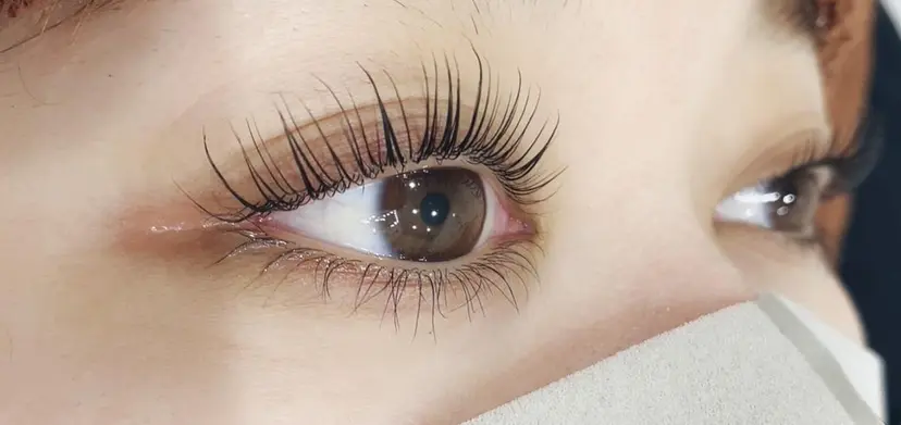 gran eyelash👀の掲載