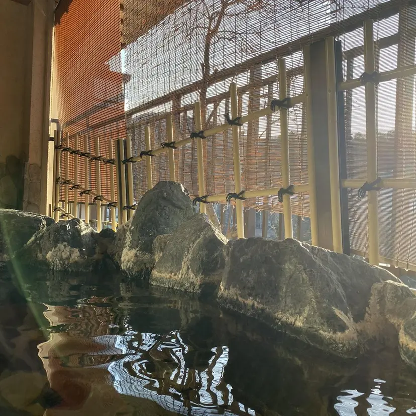 丸田 美沙希の掲載