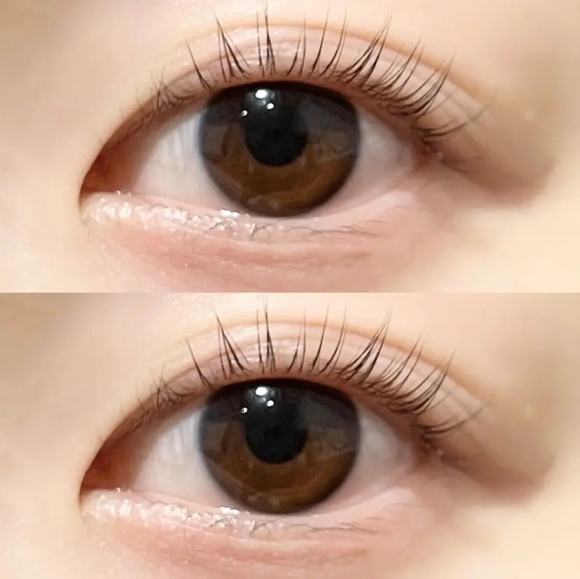 Misato Takeuchiの掲載