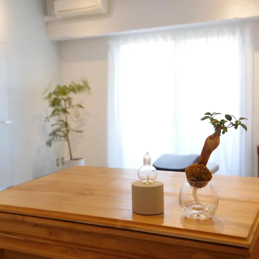 美容整体　小顔矯正 プラスフィール石松の掲載