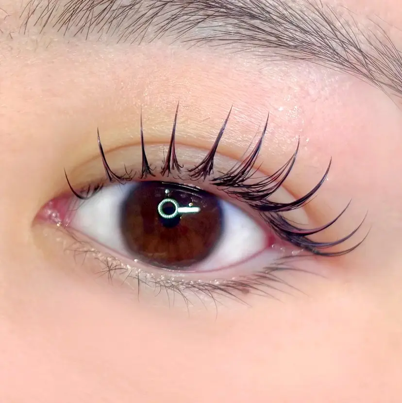 ccccccc b. ヤマモトの掲載