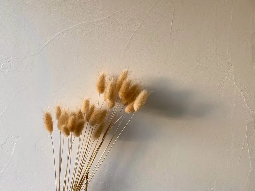 saki 【eyelash】の掲載